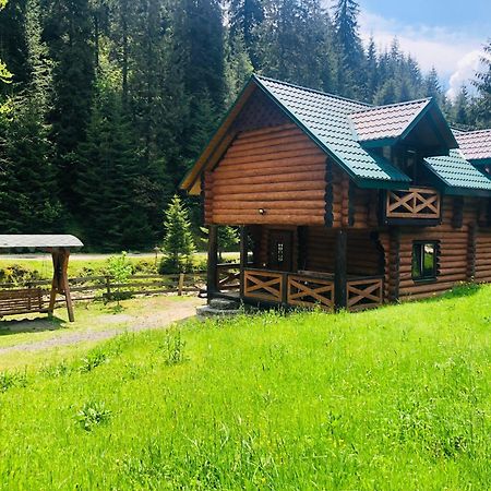 У Віти Котедж4 Synevyrs'ka Polyana Exterior photo